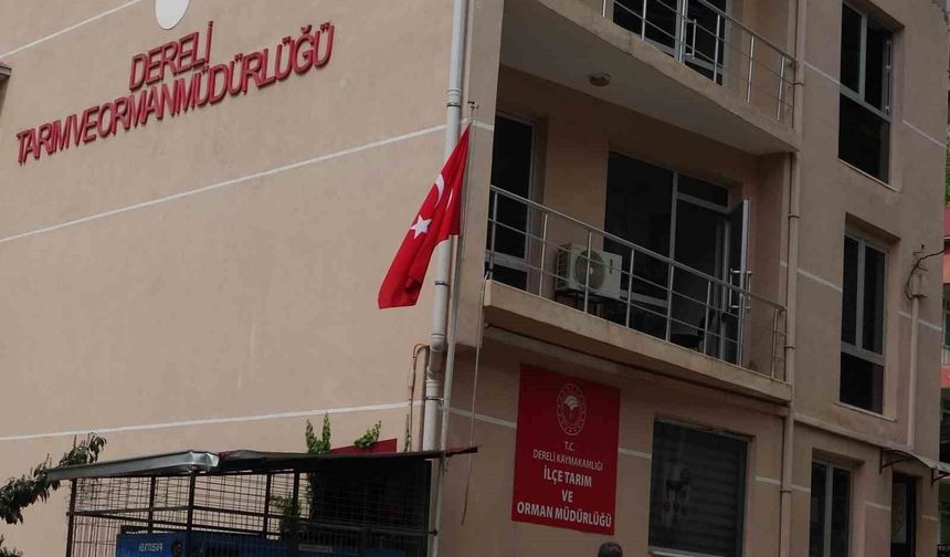 FLAŞ HABER: GİRESUN DERELİ'DE DEV YOLSUZLUK İDDİASI!