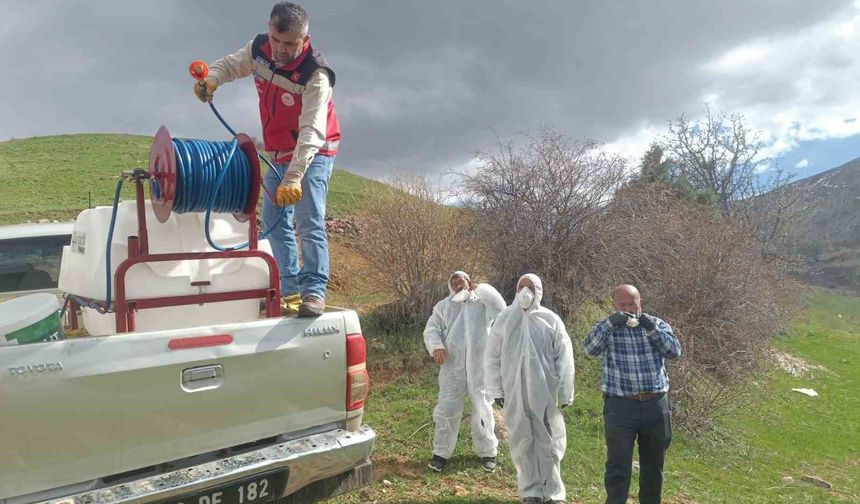 Gümüşhane'de çekirge istilasına uğrayan köyde ilaçlama çalışması başlatıldı