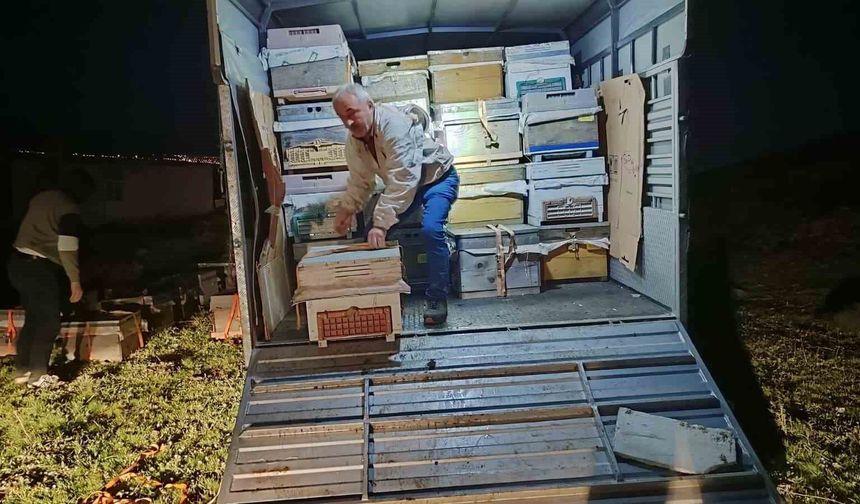 Karadeniz'in gezgin arıcıları yeni sezon için Doğu Anadolu'nun dağlarını mesken tuttu