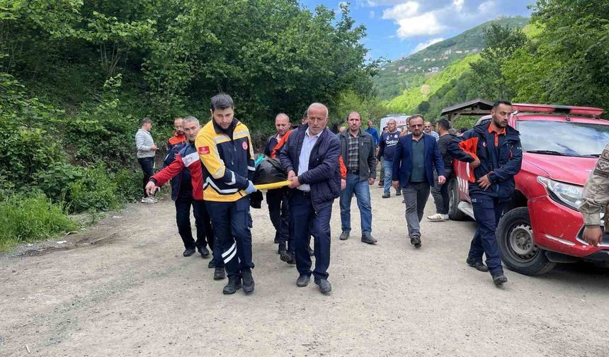 Ordu'da şelale göletine giren çocuk boğuldu