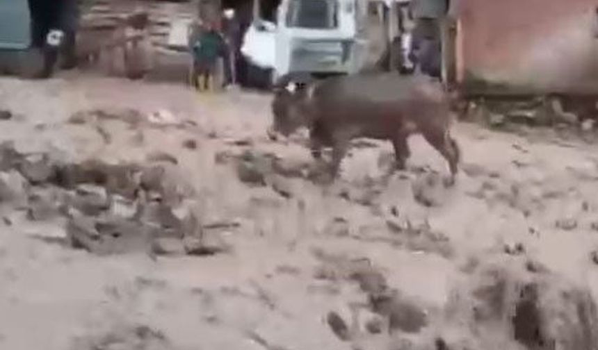 Şebinkarahisar'da şiddetli yağış