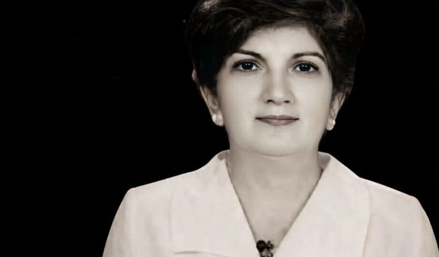 BİR YILDIZ KAYDI BU HAYATTAN