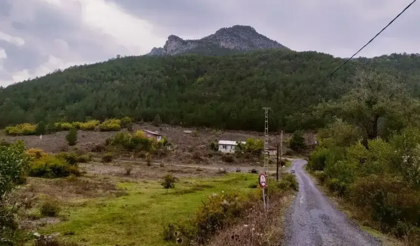 GÜMÜŞHANE’DE KAZANAN KÖYLÜLER OLDU!