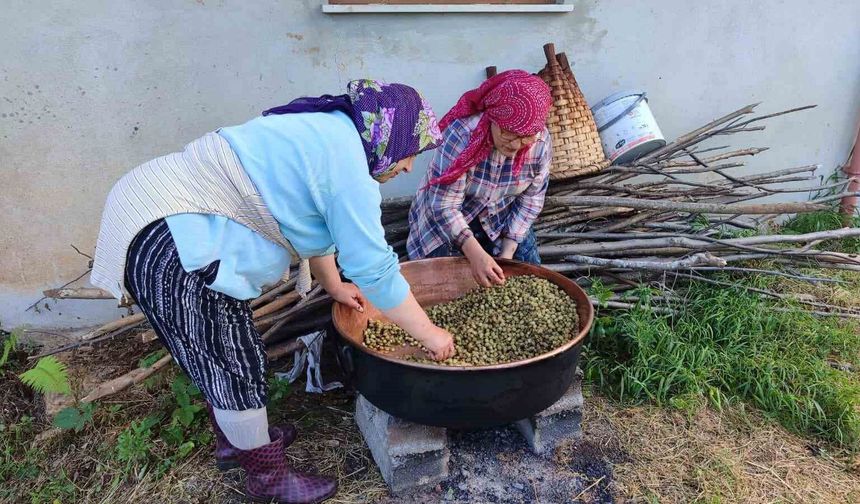 Karadeniz'de dut pekmezi mesaisi başladı: Kazanlar şifa için kaynıyor