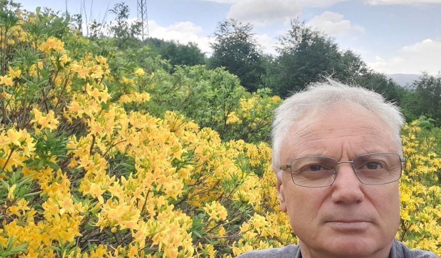 FINDIKTA VERİM VE KALİTE İÇİN ORTAK HAREKET ÇAĞRISI