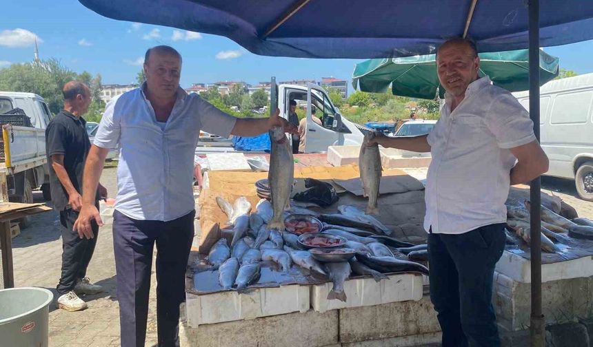Çarşambalı balıkçı ikizler 40 yıldır aynı tezgahta