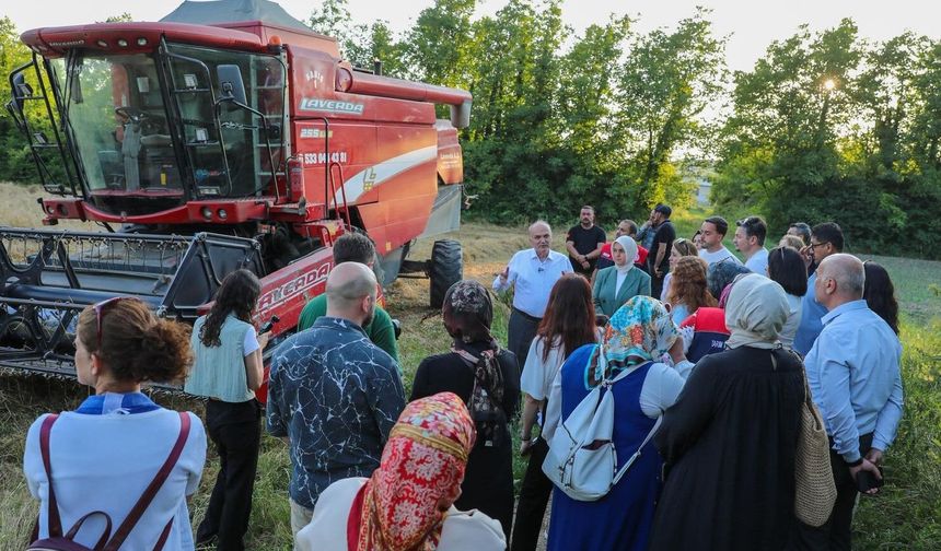 Düzce'de ilk kez yetişen siyez buğdayının hasadı yapıldı