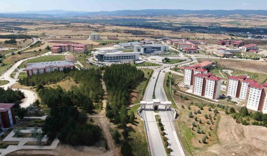 Üniversite adaylarına tercih tavsiyesi: Karar verirken başarı sıralaması yeterli değil