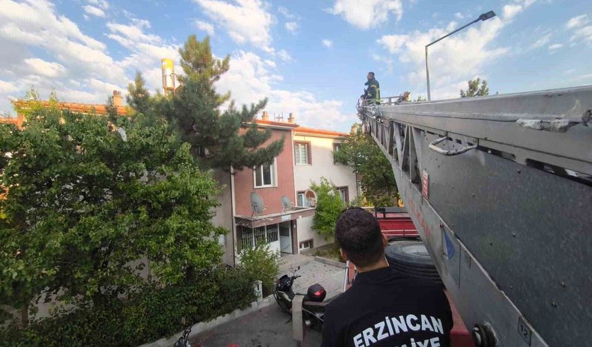 Çatıdaki kedi itfaiye ekiplerince kurtarıldı