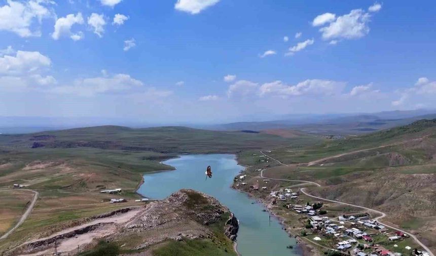 Kartal ile avladığı yılanın gökyüzünde süzüldüğü anlar dron kamerasında