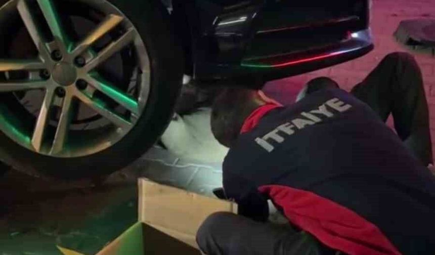 Yunanistan'dan Bolu'ya otomobilin motorunda gelen minik misafir