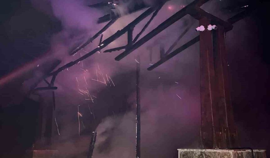 ARAKLI TURUP MESİRE ALANI'NDA ÇİRKİN SALDIRI!