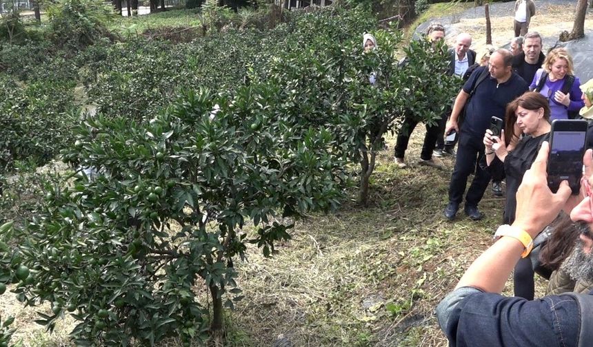 Rize gastronomisi sofradan sağlığa yeni bir hikâye yazıyor