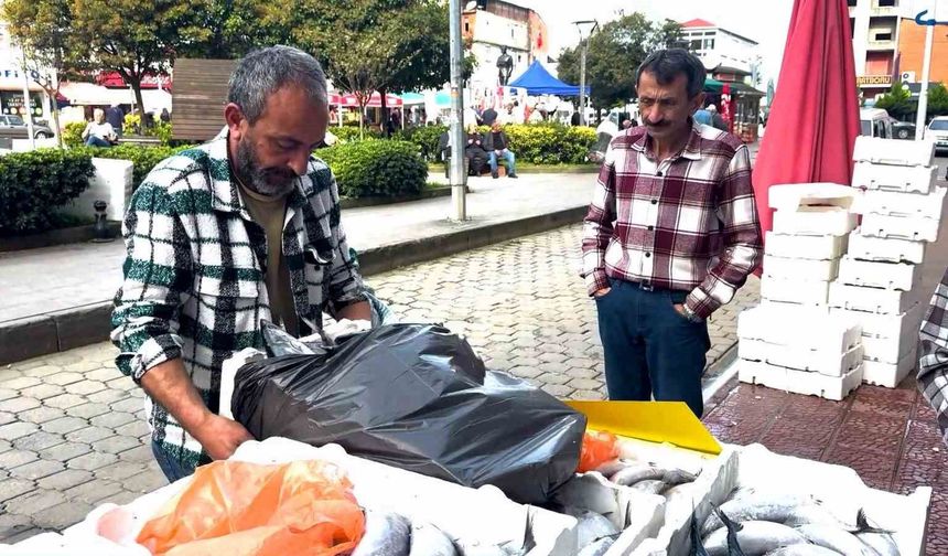 PALAMUTUN 3 TANESİ 100 TL!