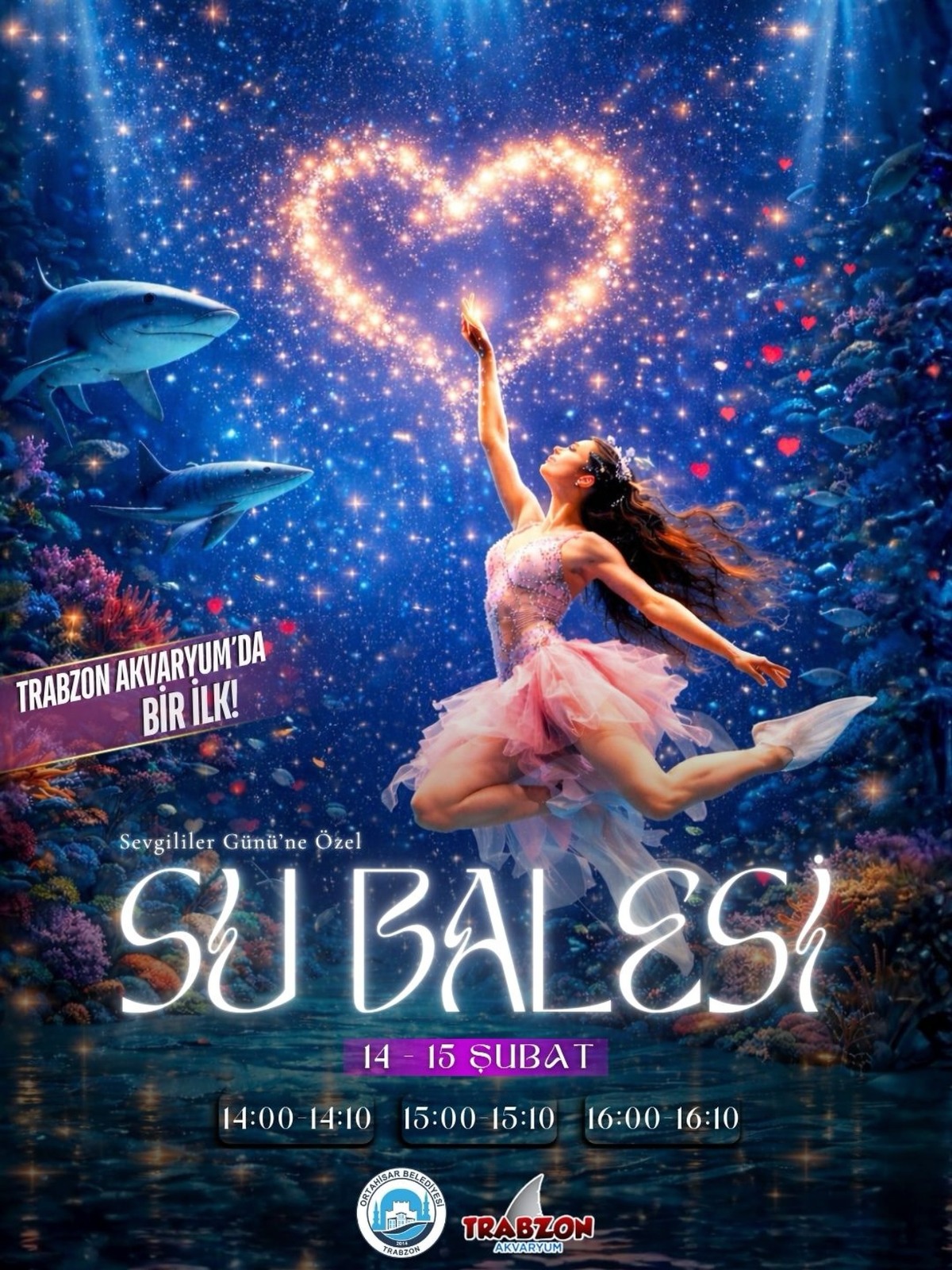 Aed9Df87 2D73 45D9 9Bca 21C908Acab53