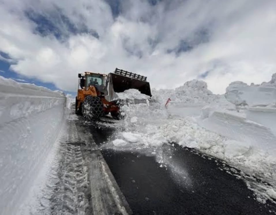 Whatsapp Image 2026 02 10 At 09.44.28 (1)