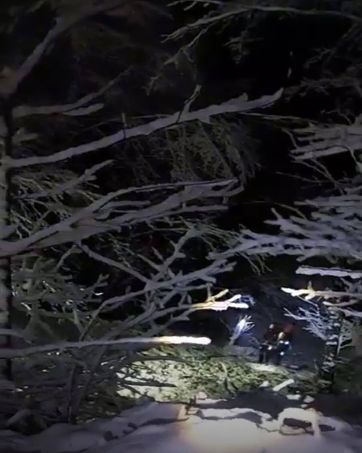 648375767 1502579468544772 5512693770150516749 N