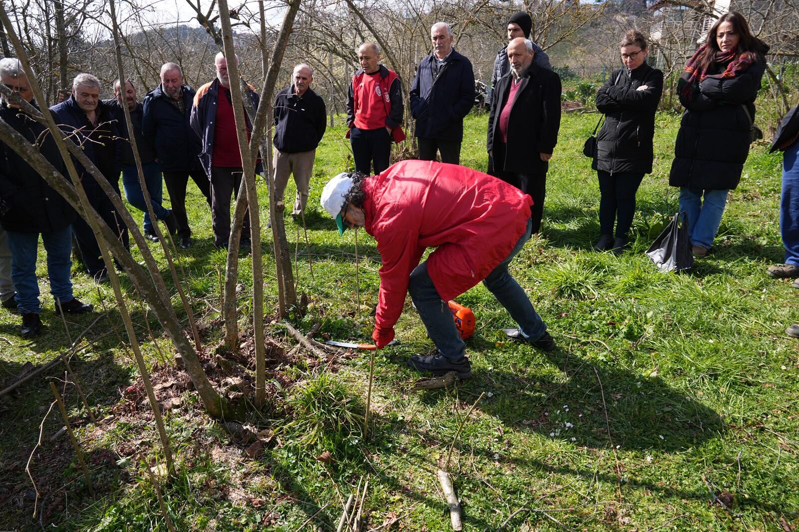 Whatsapp Image 2026 03 12 At 11.24.58