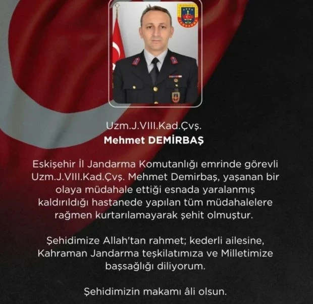 Vvv Alm7
