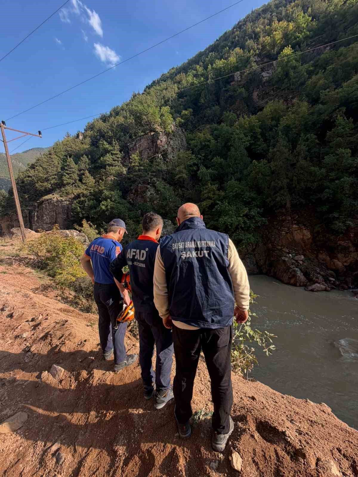 Artvin'de araç dereye düştü: 1 yaralı