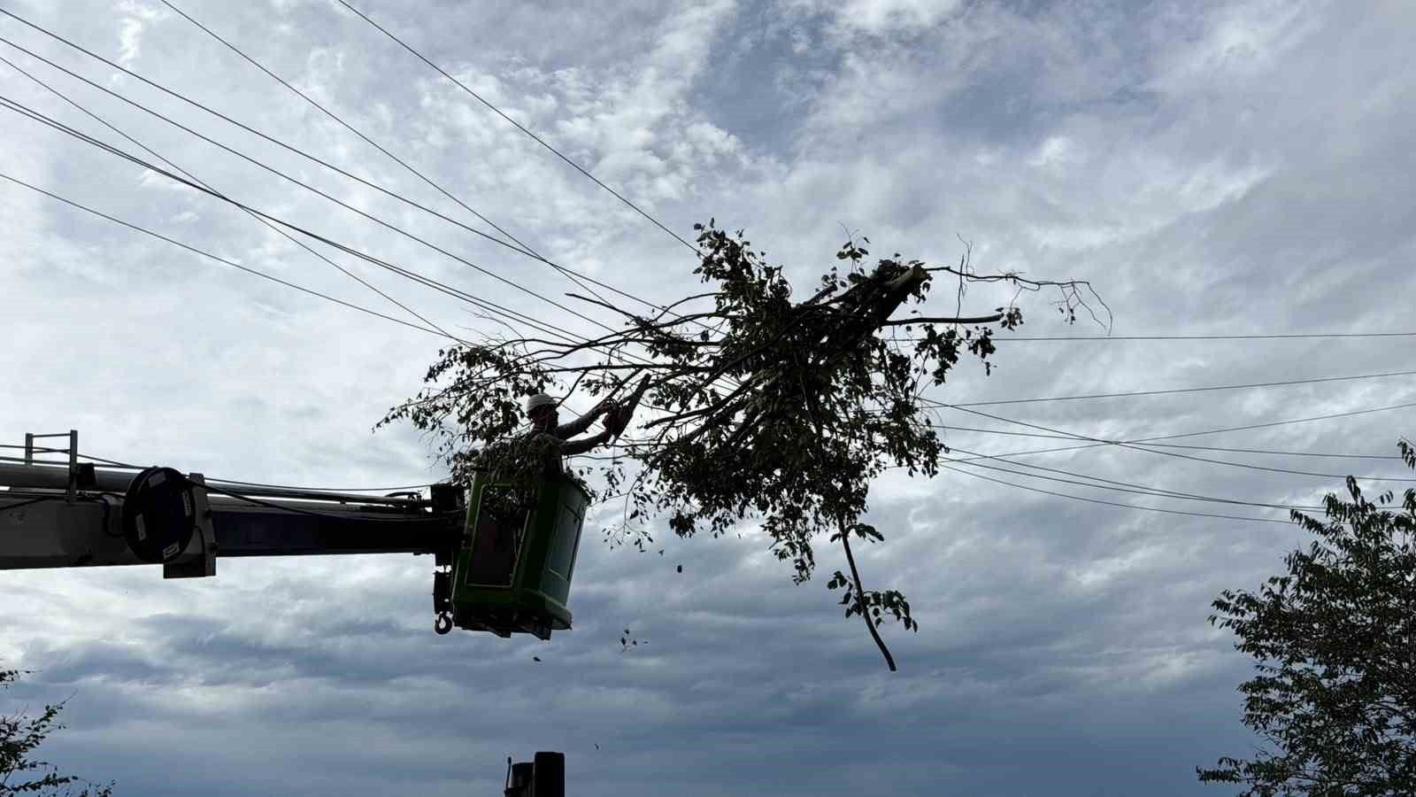 Hopa'da elektrik arıza ekiplerinin rüzgâr mesaisi